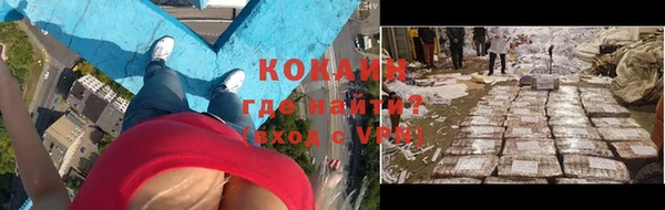 индика Алексеевка