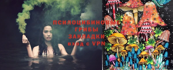 индика Алексеевка