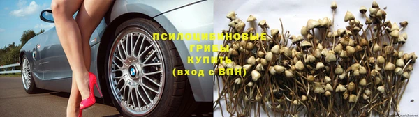 индика Алексеевка